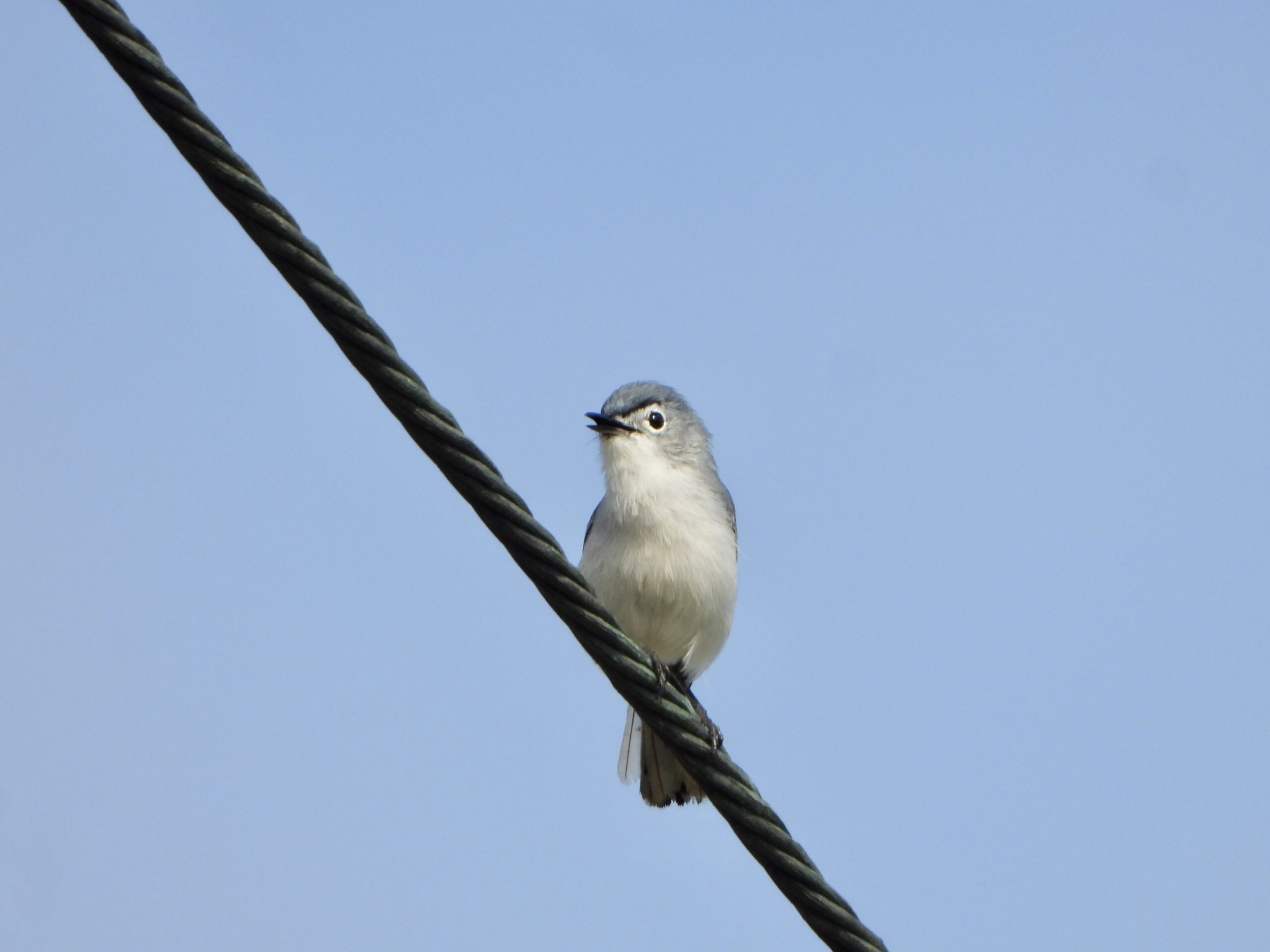 DSCN3177