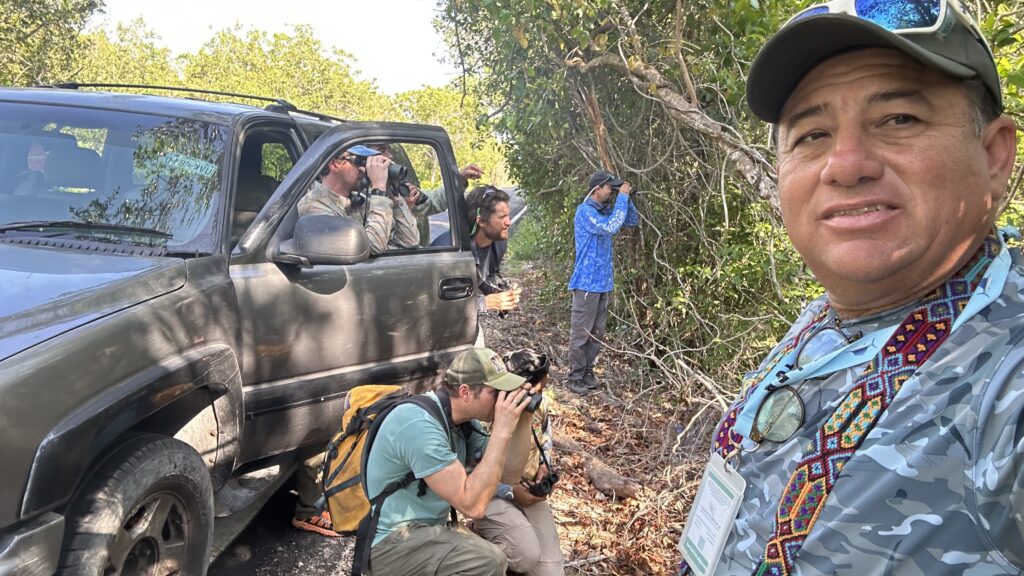 Yucatán Land Birding Expedition